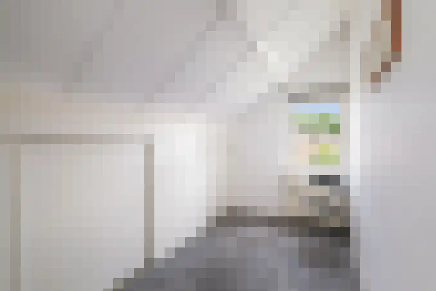 Omloop 47 Twello thumbnail 29