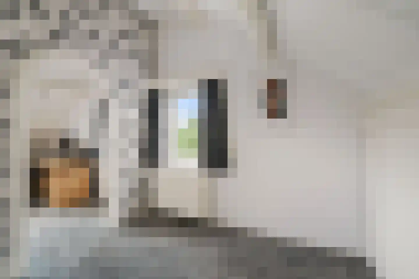Omloop 47 Twello thumbnail 35