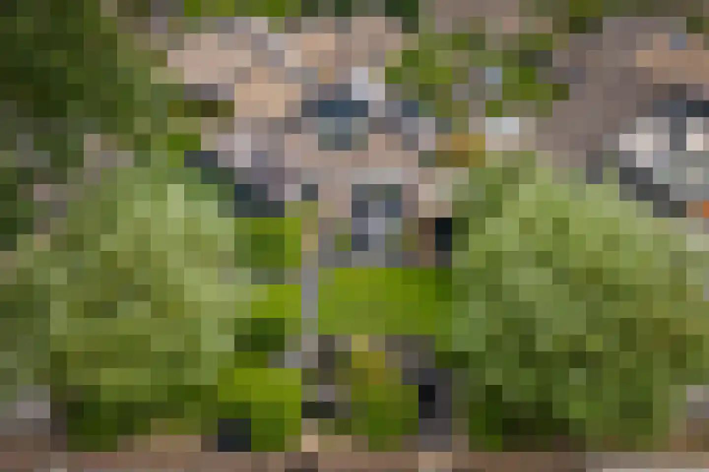 Omloop 47 Twello thumbnail 43
