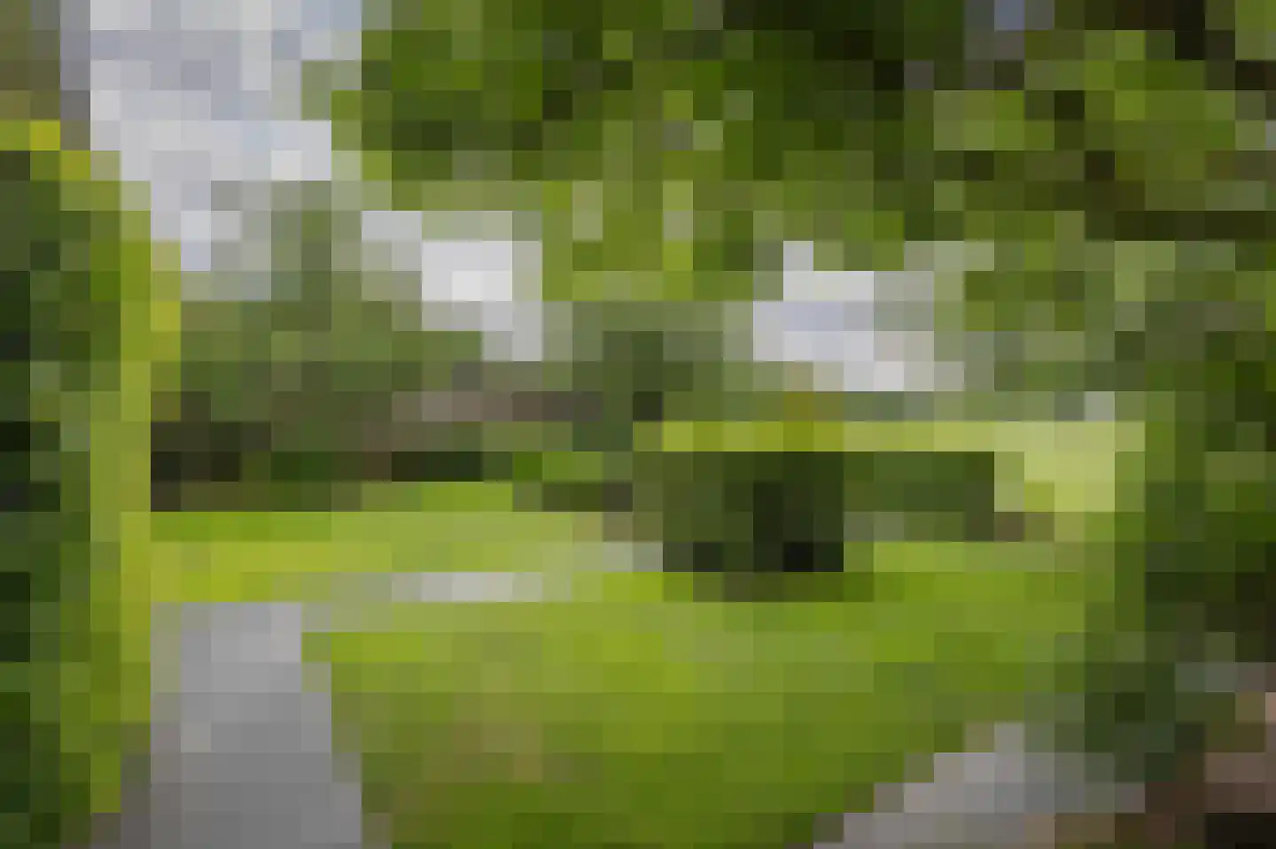 Omloop 47 Twello thumbnail 45