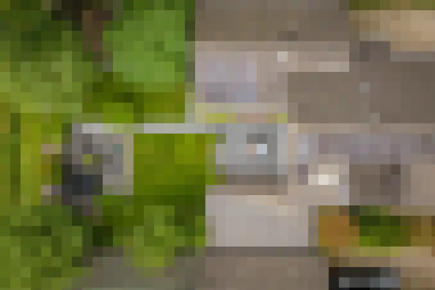 Omloop 47 Twello thumbnail 49