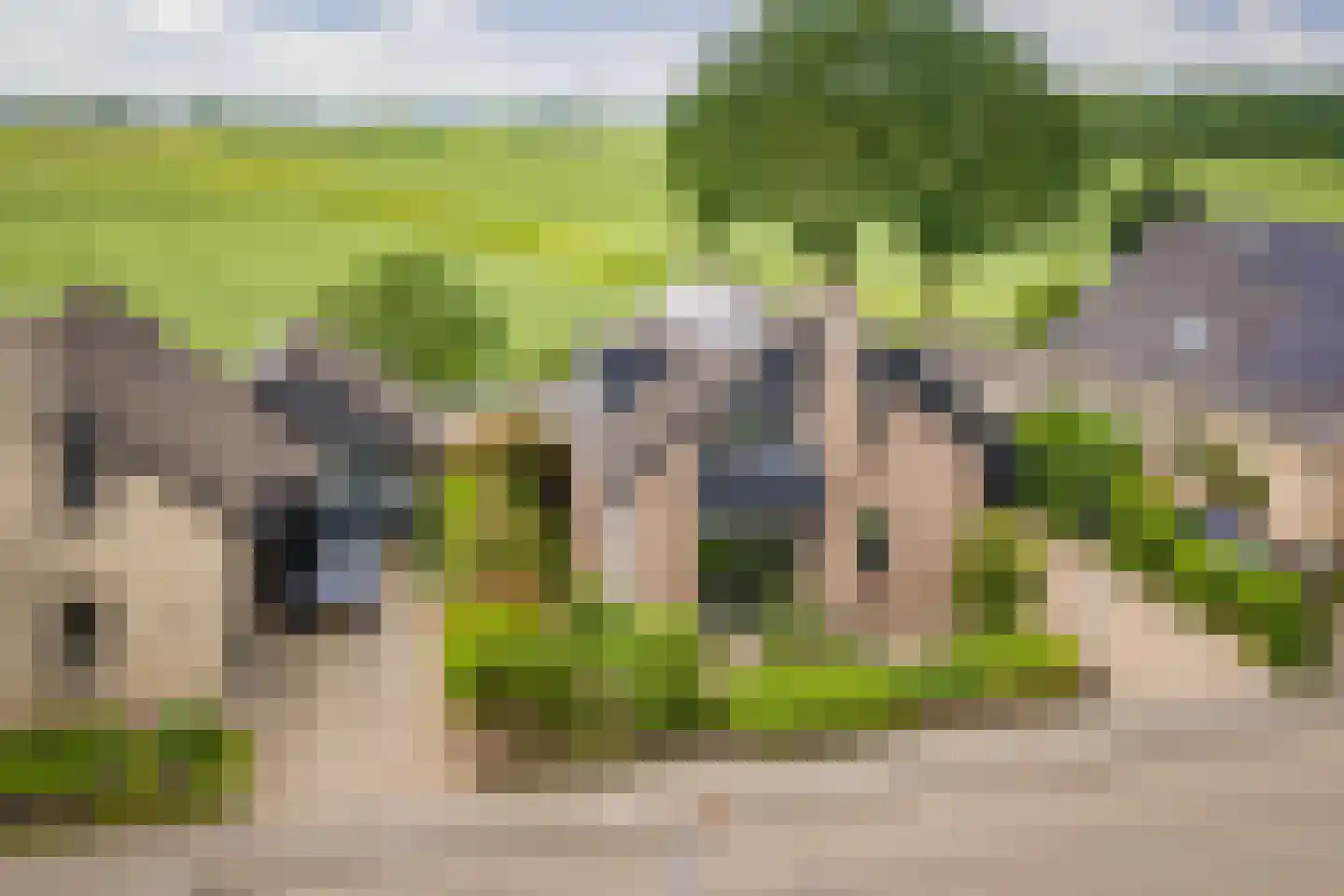 Omloop 47 Twello thumbnail 51