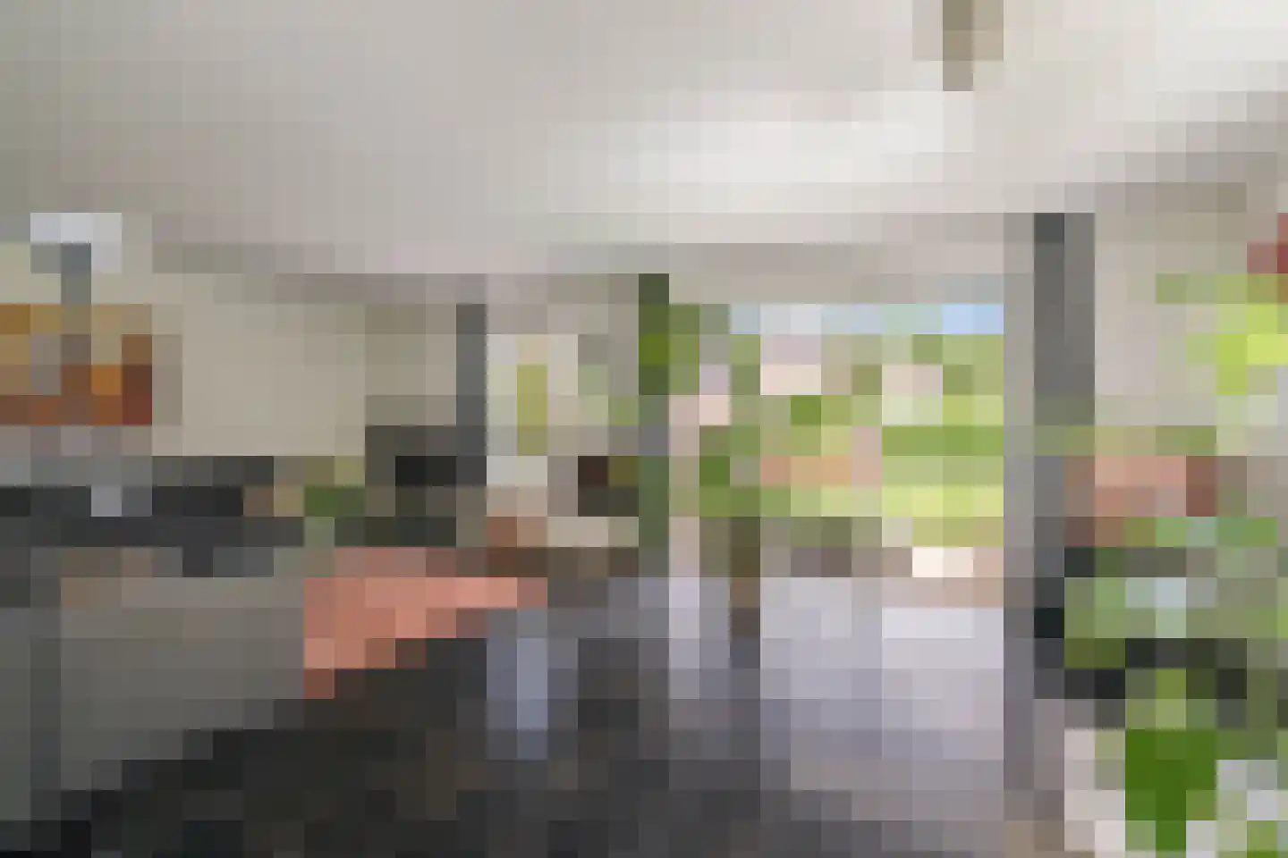 Omloop 47 Twello thumbnail 8