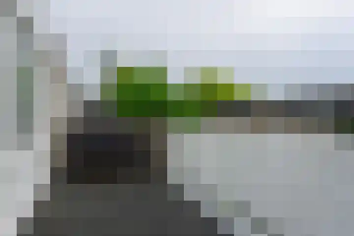 Omloop 48 Bergen op Zoom thumbnail 23
