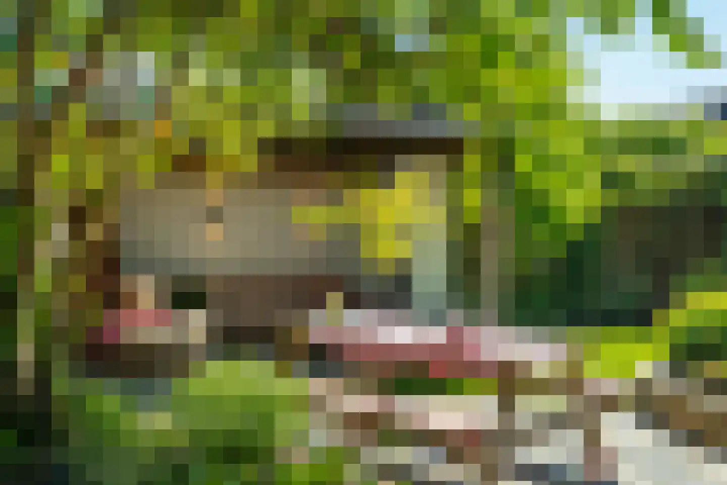 Omloop 5 Abcoude thumbnail 4