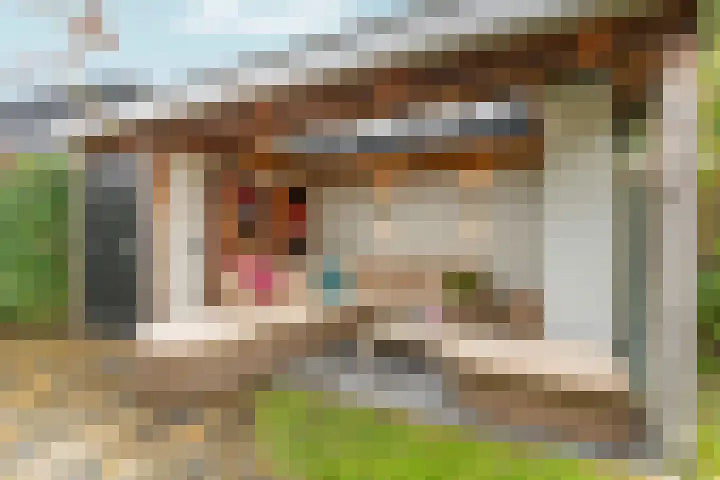 Omloop 5 Abcoude thumbnail 4