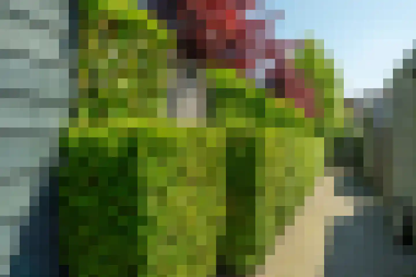Omloop 5 Abcoude thumbnail 50
