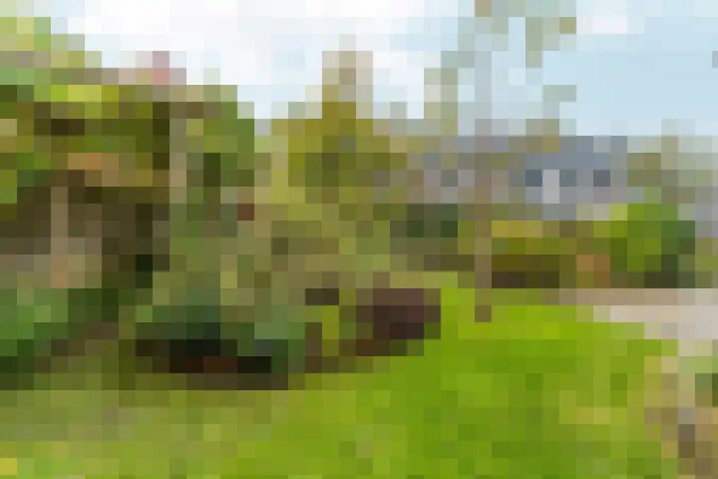 Omloop 5 Abcoude thumbnail 55
