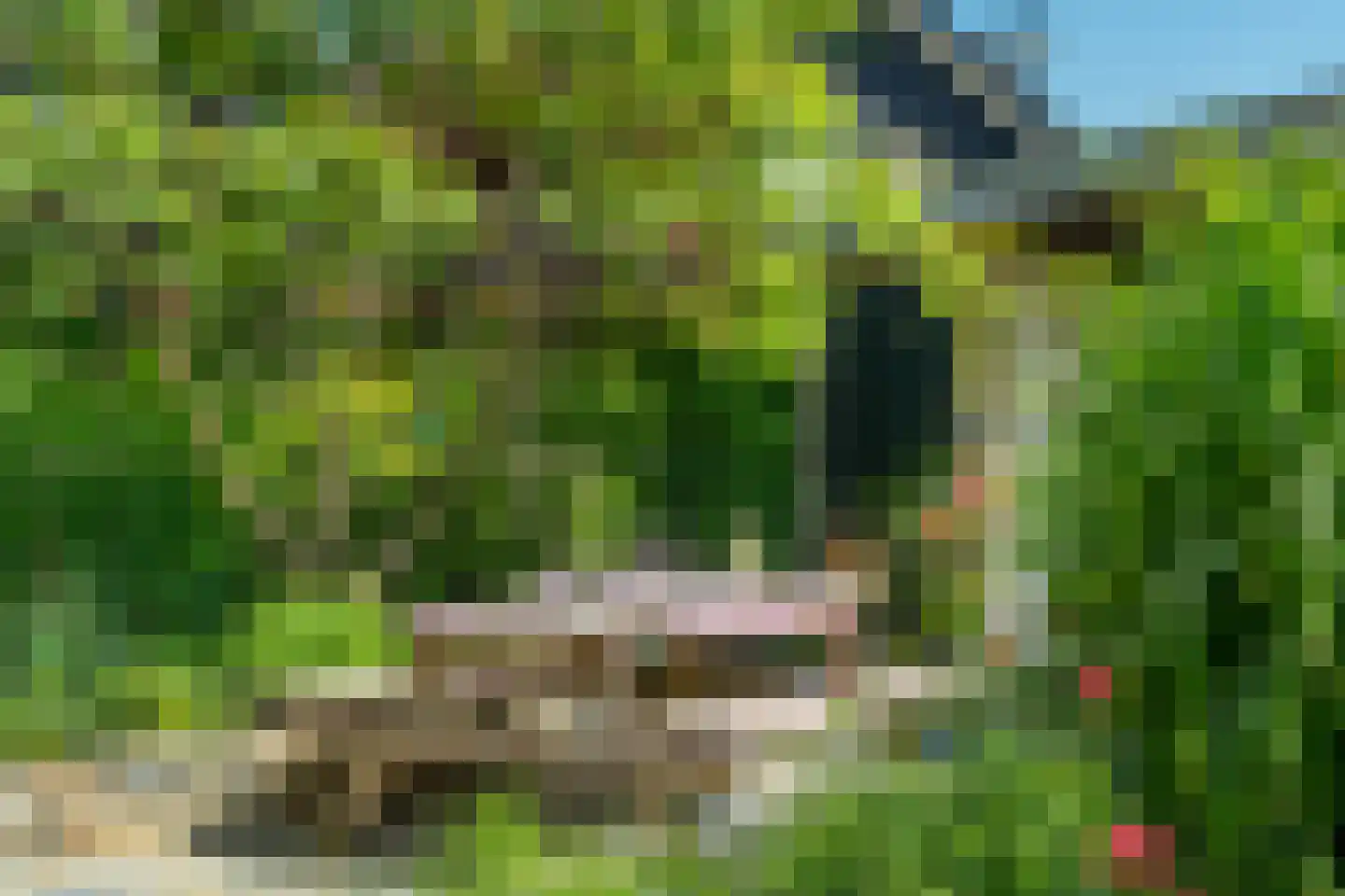 Omloop 5 Abcoude thumbnail 56