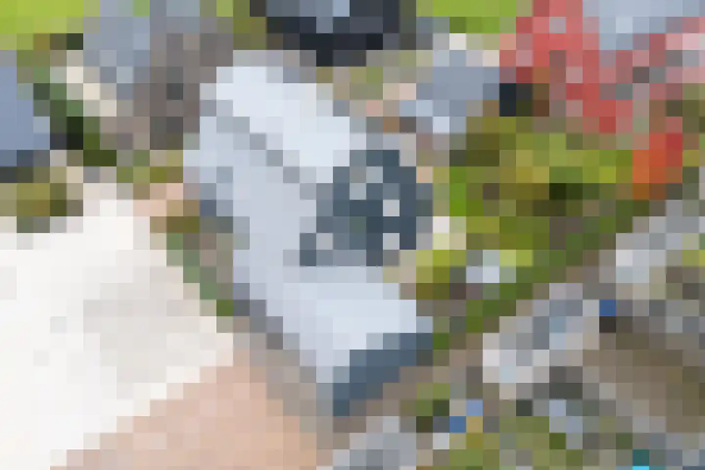 Omloop 5 Abcoude thumbnail 57