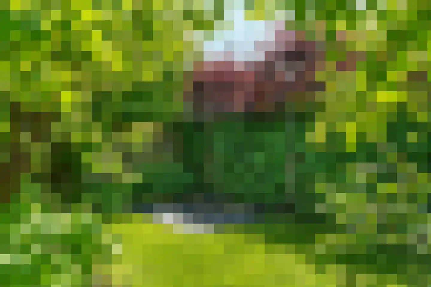 Omloop 5 Abcoude thumbnail 59