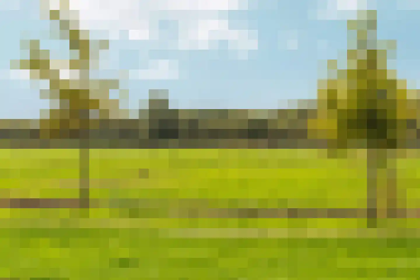 Omloop 5 Abcoude thumbnail 64