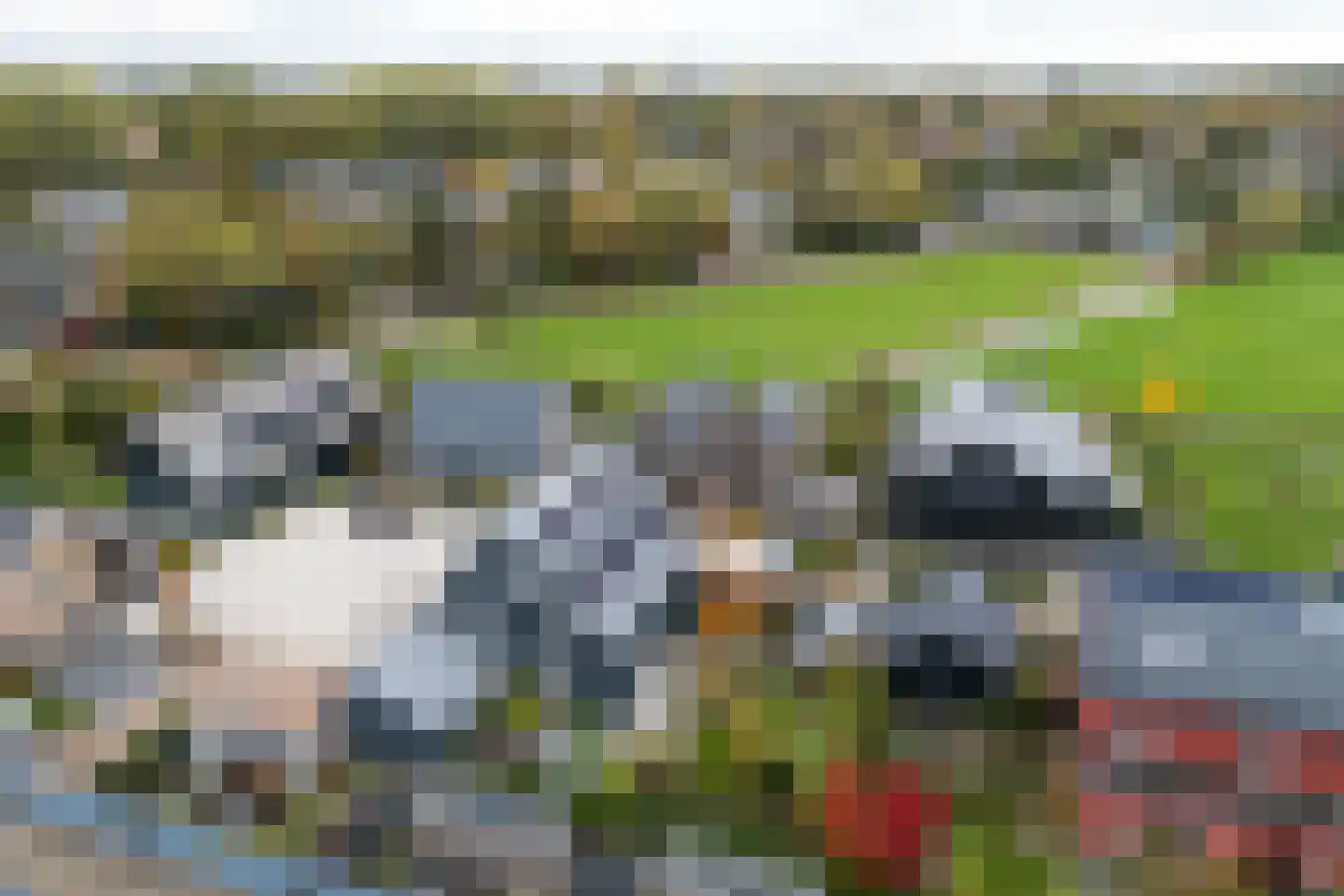 Omloop 5 Abcoude thumbnail 69