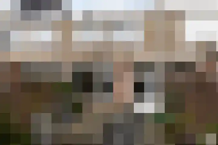 Omloop 53 Bergen op Zoom thumbnail 34