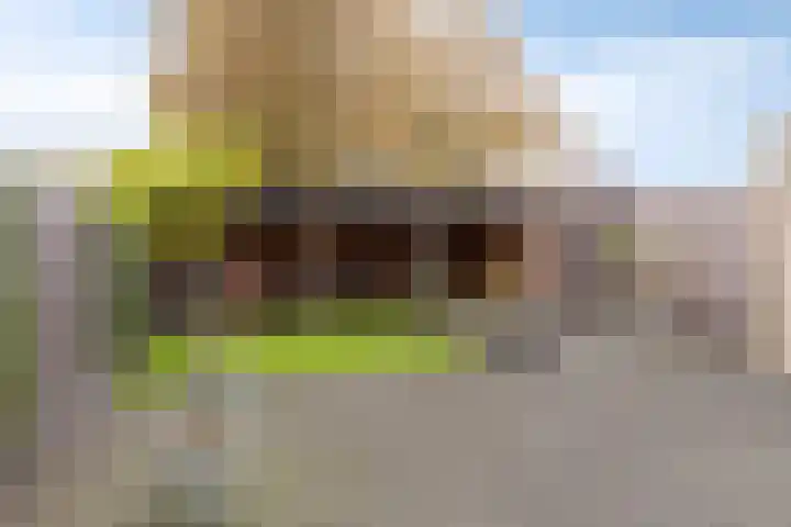 Omloop 55 Stadskanaal thumbnail 34