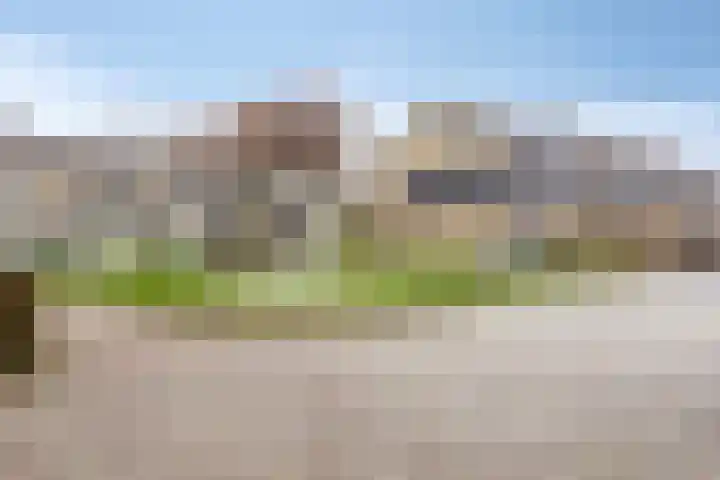 Omloop 55 Stadskanaal thumbnail 39