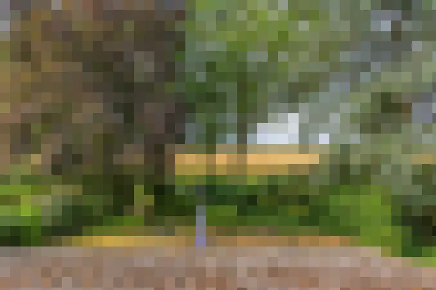 Omloop 6 Dinteloord thumbnail 25