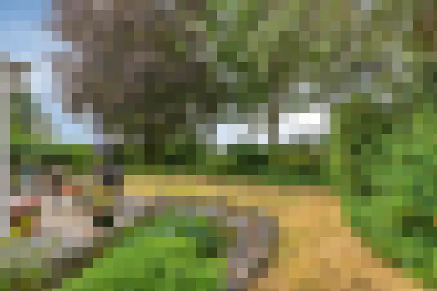 Omloop 6 Dinteloord thumbnail 26