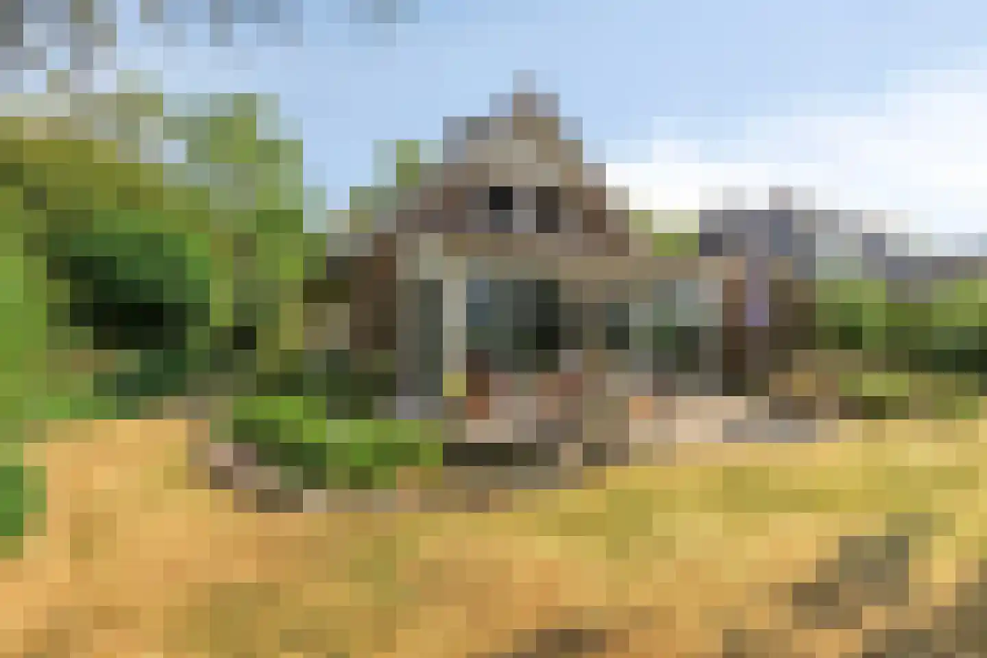 Omloop 6 Dinteloord thumbnail 27