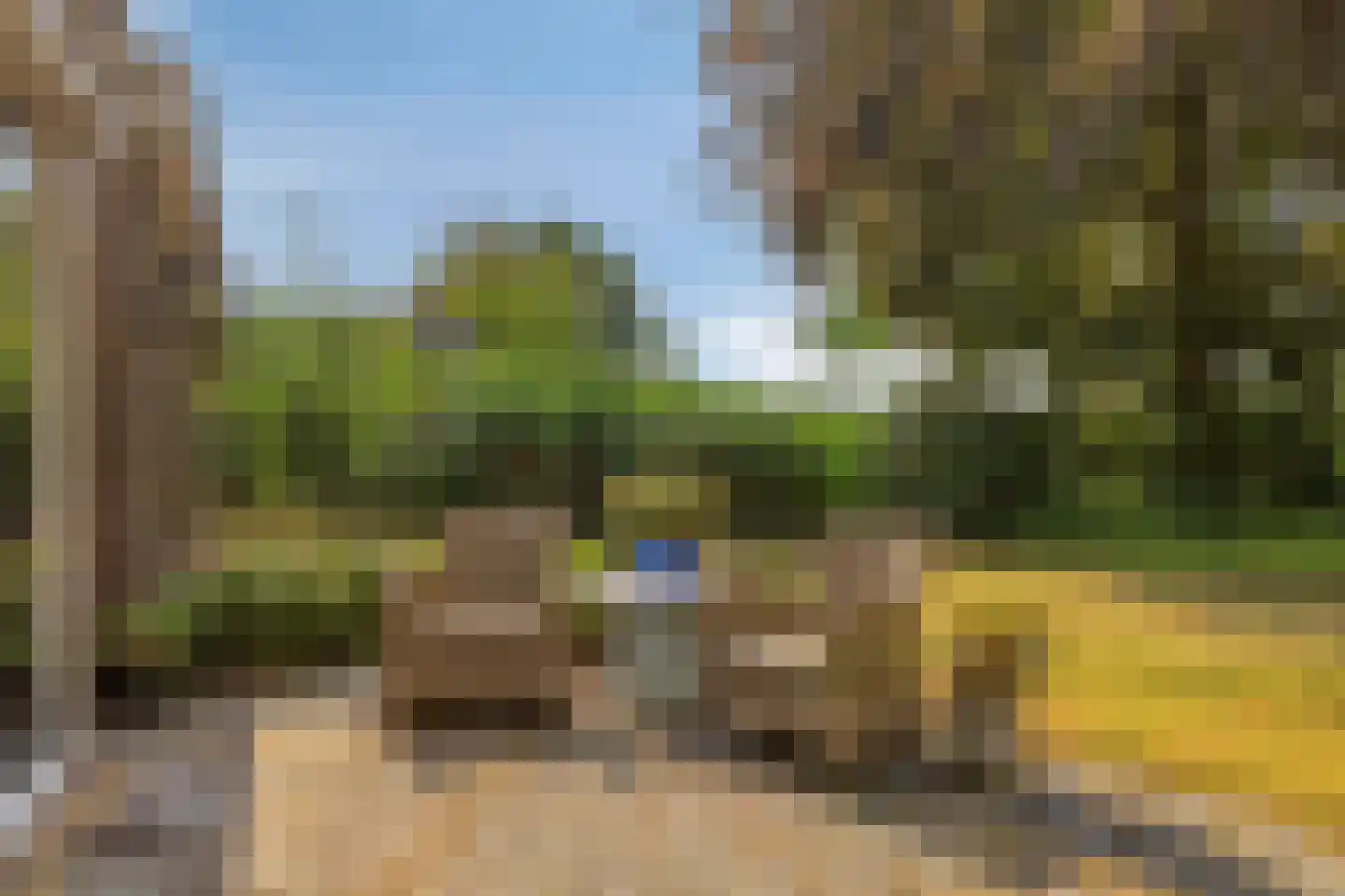 Omloop 6 Dinteloord thumbnail 29