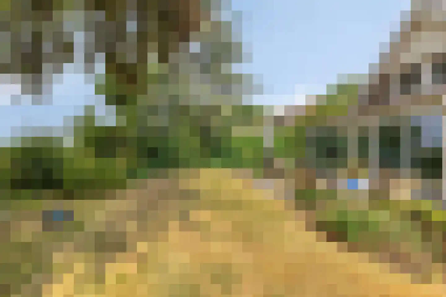 Omloop 6 Dinteloord thumbnail 30
