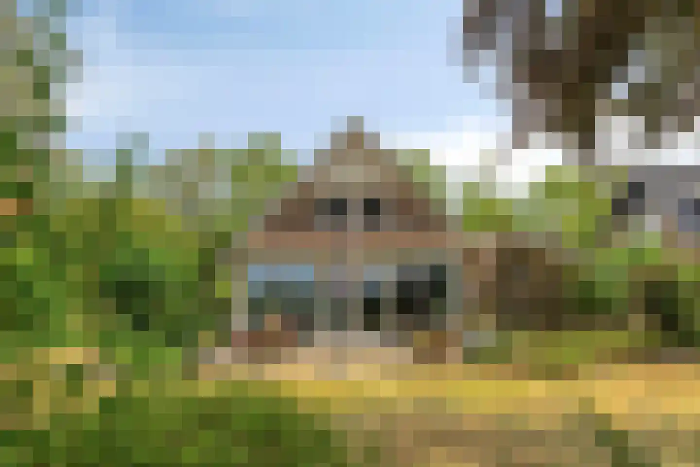 Omloop 6 Dinteloord thumbnail 31