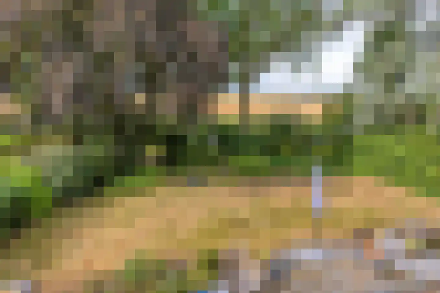 Omloop 6 Dinteloord thumbnail 32