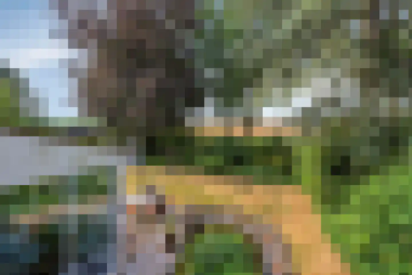 Omloop 6 Dinteloord thumbnail 33