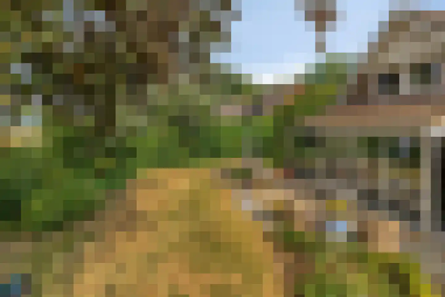 Omloop 6 Dinteloord thumbnail 34