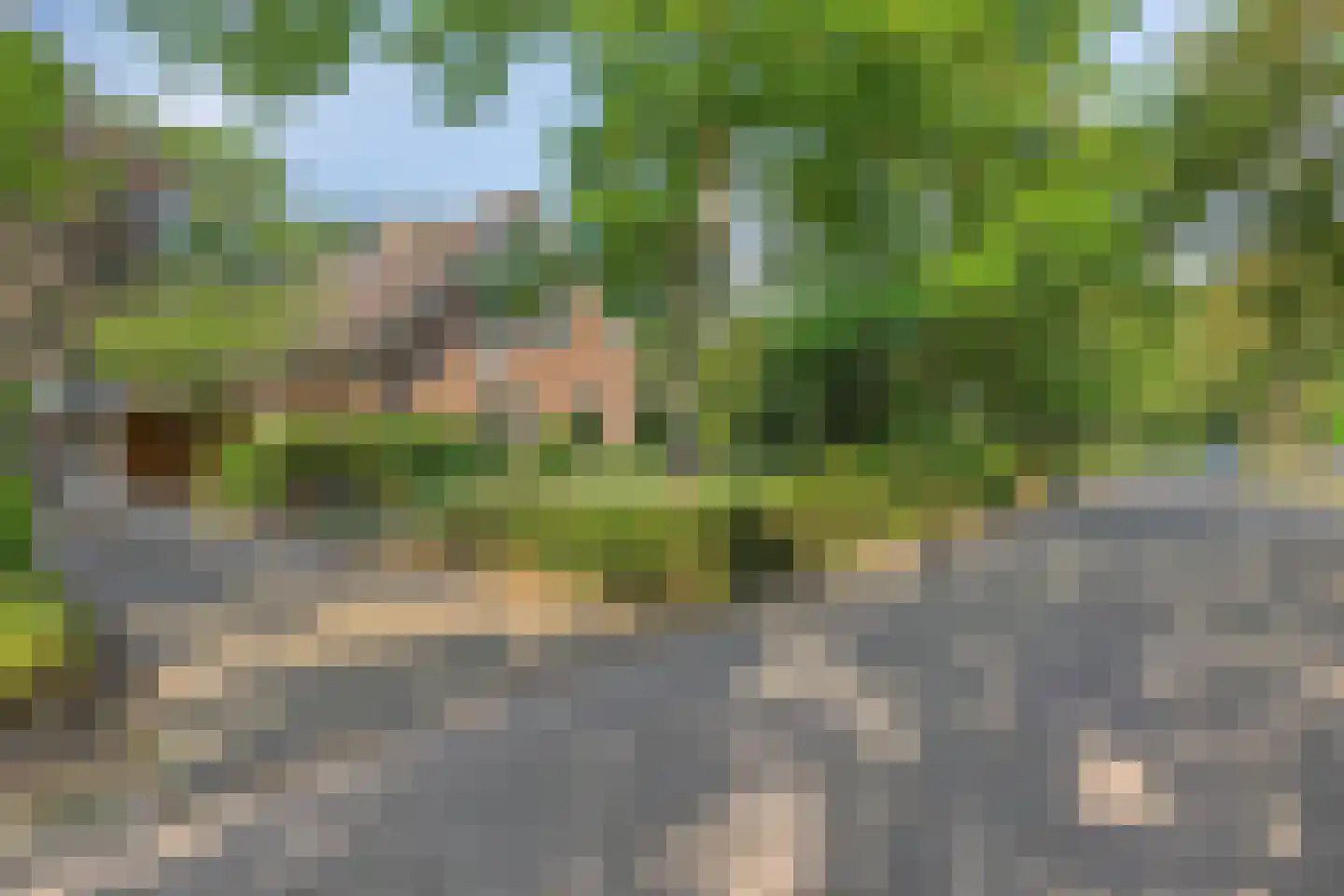 Omloop 6 Dinteloord thumbnail 36