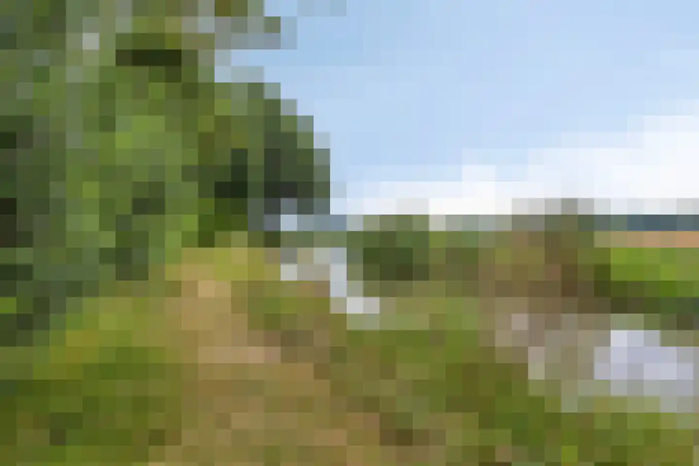 Omloop 6 Dinteloord thumbnail 40