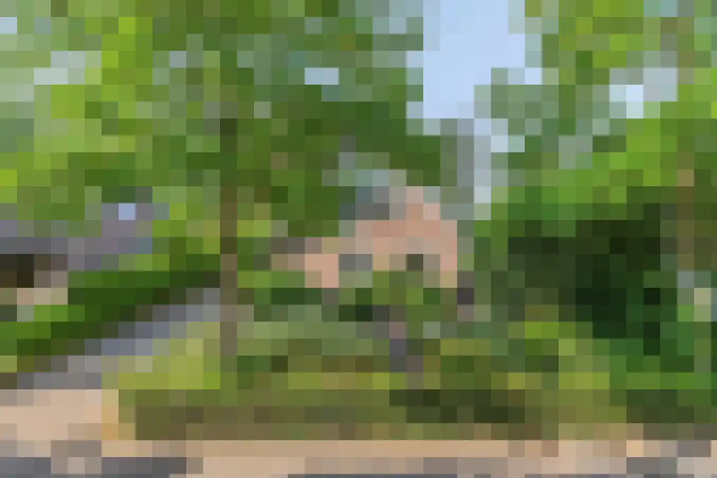 Omloop 6 Dinteloord thumbnail 41