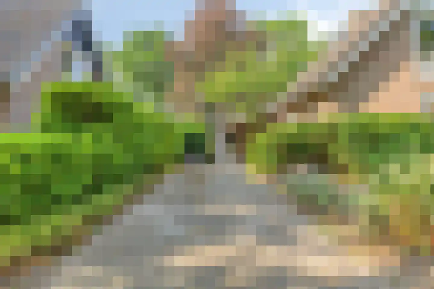 Omloop 6 Dinteloord thumbnail 42
