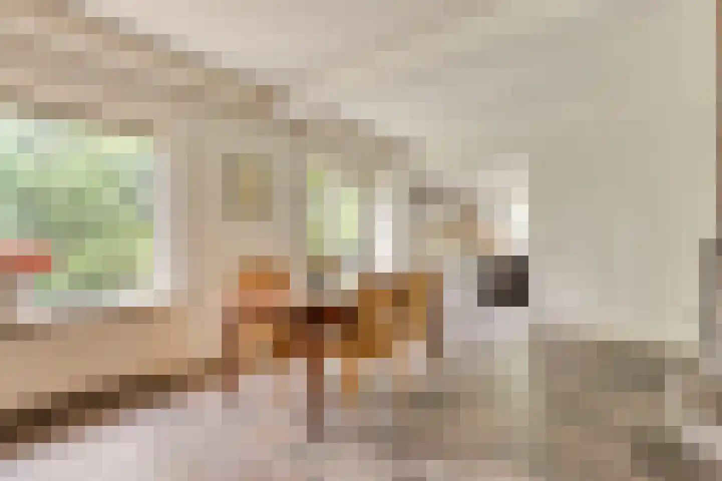 Omloop 6 Dinteloord thumbnail 7