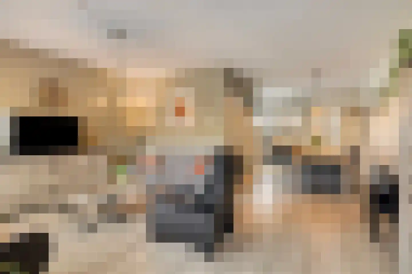 Omloop 61 Bergen op Zoom thumbnail 13