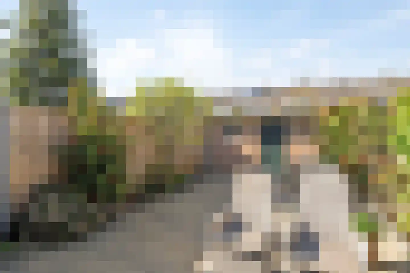 Omloop 61 Bergen op Zoom thumbnail 34
