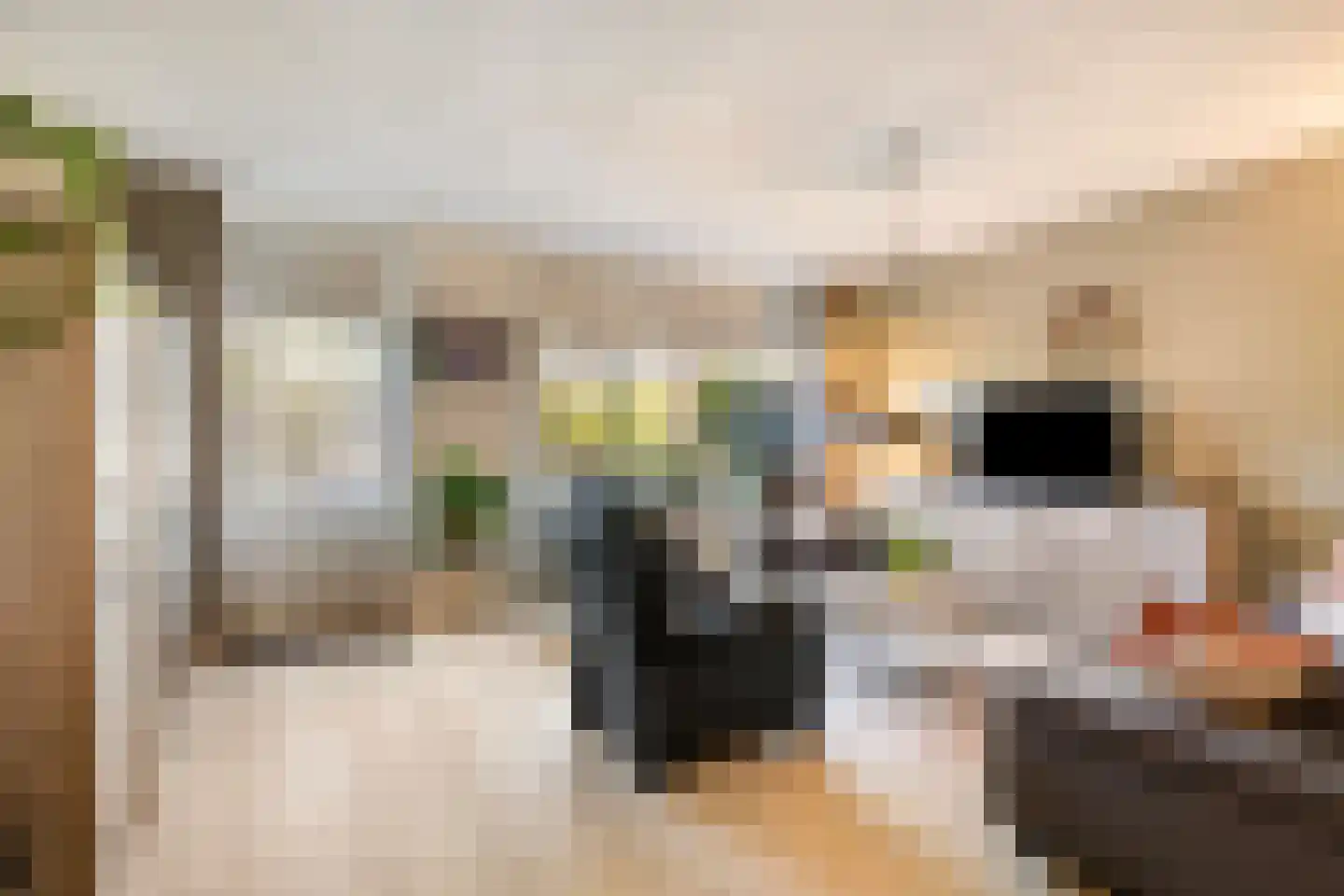 Omloop 61 Bergen op Zoom thumbnail 9