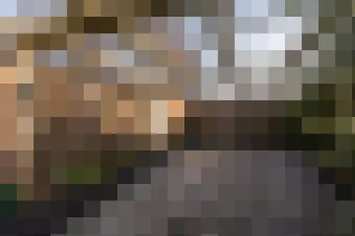 Omloop 61 Stadskanaal thumbnail 37