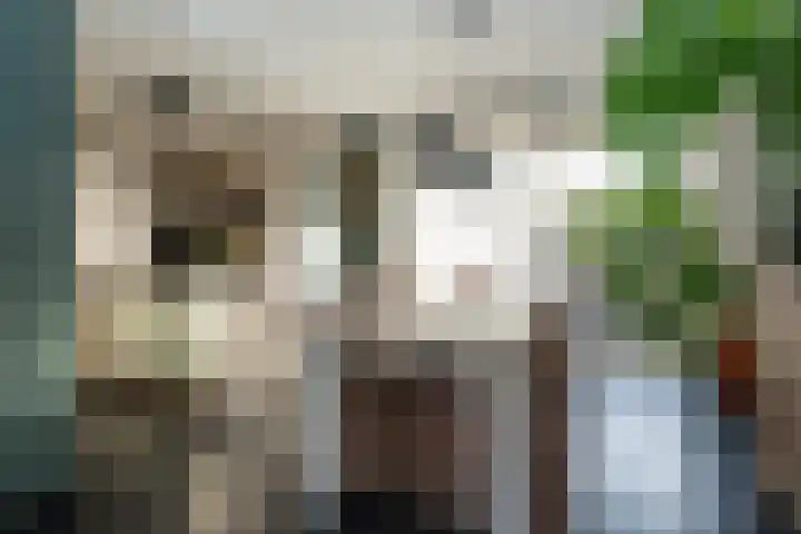 Omloop 61 Stadskanaal thumbnail 8