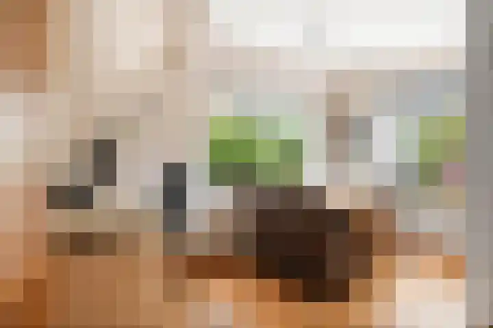 Omloop 64 Twello thumbnail 11