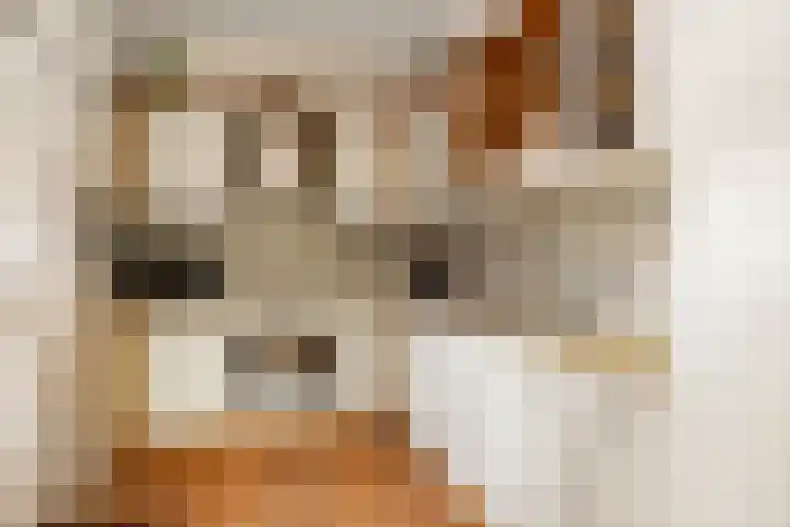 Omloop 64 Twello thumbnail 13
