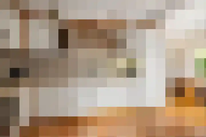 Omloop 64 Twello thumbnail 14