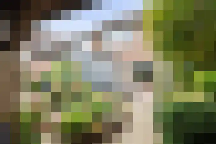 Omloop 64 Twello thumbnail 30
