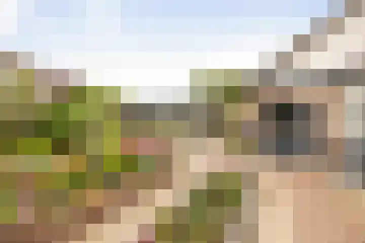 Omloop 64 Twello thumbnail 32