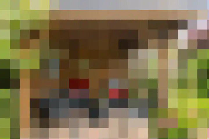 Omloop 64 Twello thumbnail 33