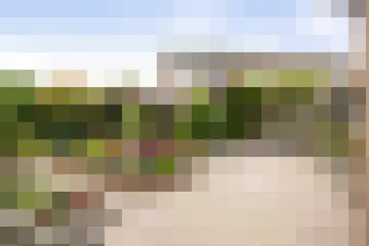 Omloop 64 Twello thumbnail 35