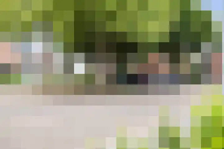 Omloop 64 Twello thumbnail 37