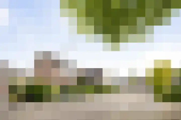 Omloop 64 Twello thumbnail 38