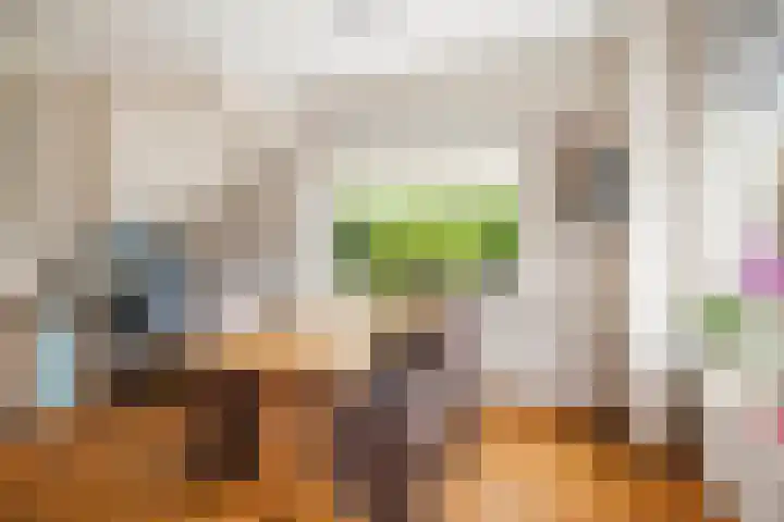 Omloop 64 Twello thumbnail 8