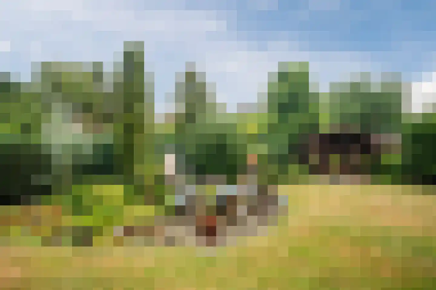 Omloop 7 Barchem thumbnail 54